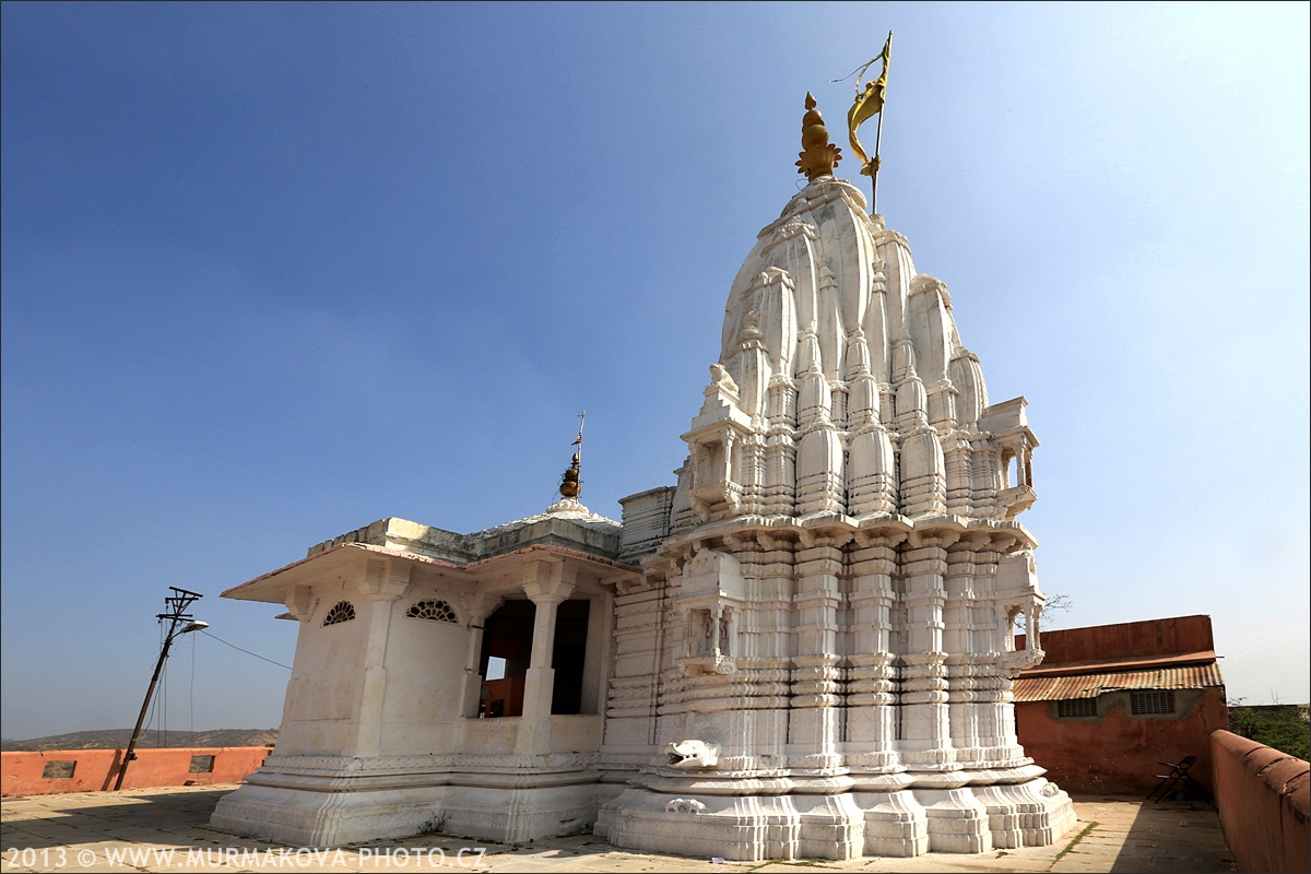 Jaipur - MONKEY TEMPLE