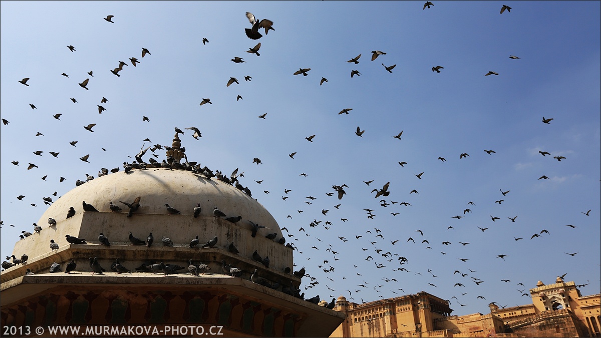 Jaipur - RED FORT v AMBÉRU