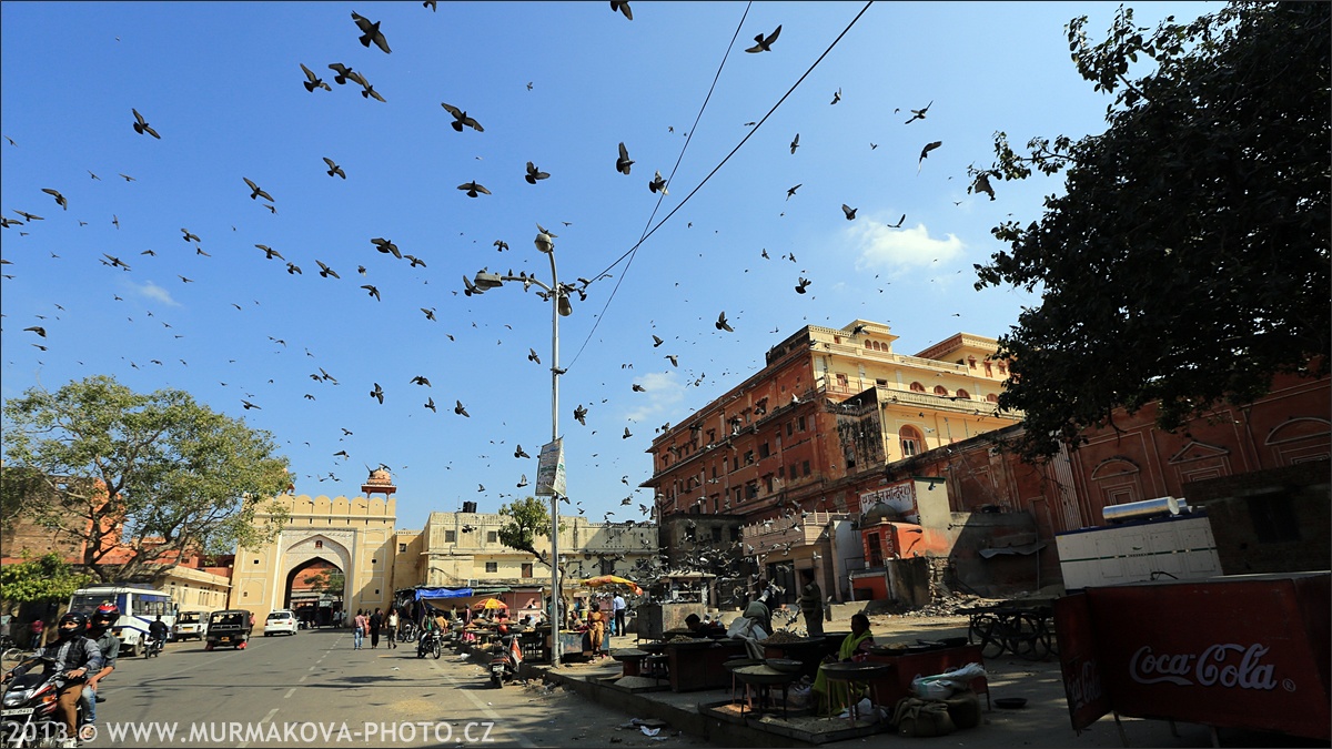 Jaipur - RŮŽOVÉ MĚSTO