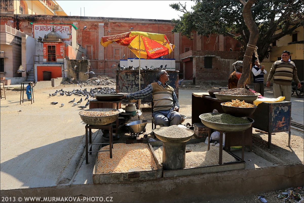 Jaipur - RŮŽOVÉ MĚSTO