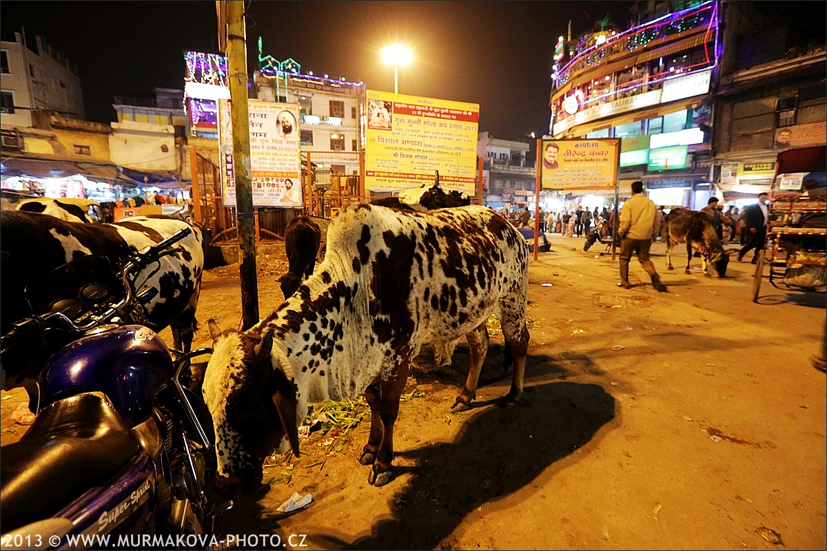 New Delhi - bazar